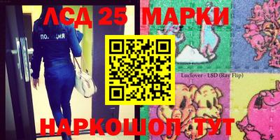 гашик Можга