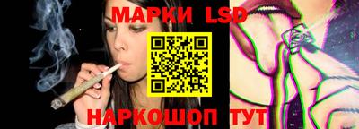 гашик Можга