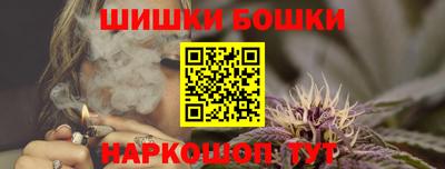 гашик Можга