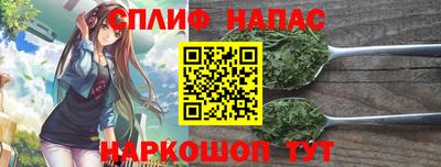 PSILOCYBIN Моздок