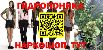 гашик Можга